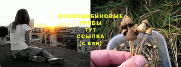 Альфа ПВП Абаза
