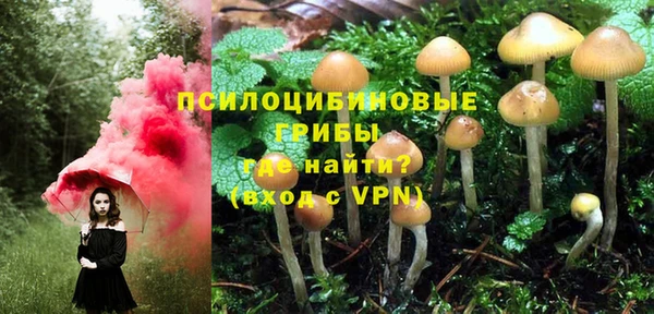 ECSTASY Абдулино
