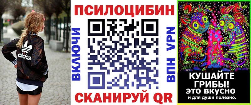 хочу   Екатеринбург  Псилоцибиновые грибы GOLDEN TEACHER 